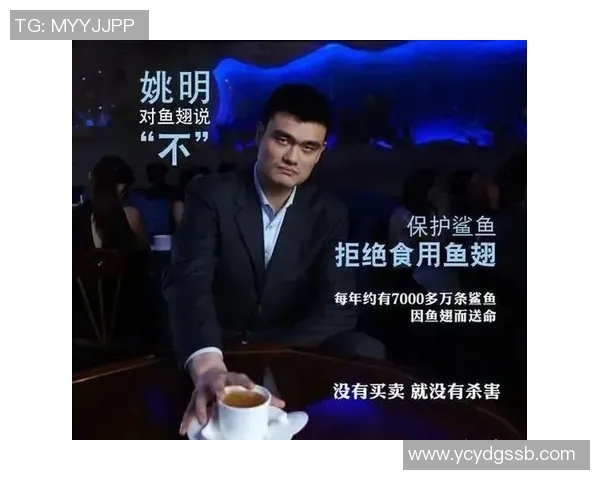 鲨鱼与姚明的奇妙碰撞探讨海洋巨兽与篮球巨人的跨界魅力与启示