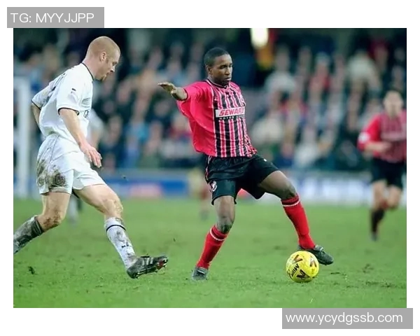 梅花香自苦寒来足球明星中的梅字传奇