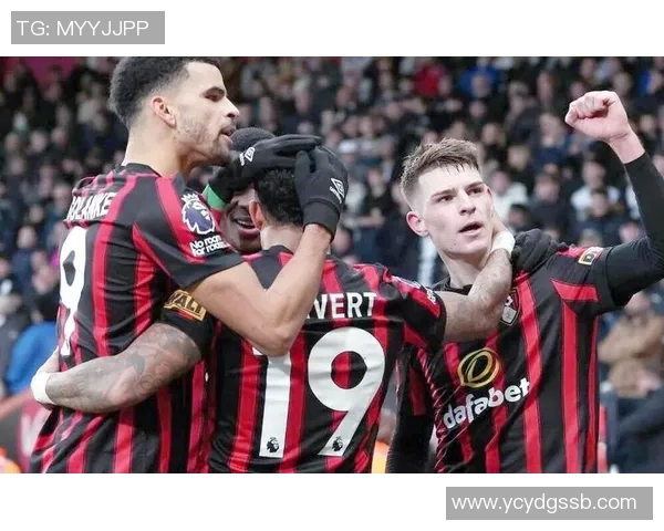 伯恩茅斯与南安联激战正酣谁能在英超赛场上笑到最后