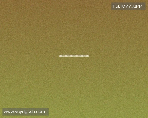 篮球明星什么芬的传奇故事与职业生涯的辉煌成就解析
